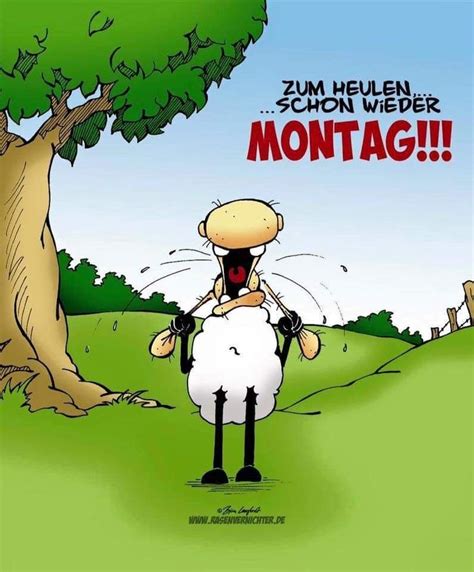 montag morgen sprüche lustig|montag gute morgenssprüche.